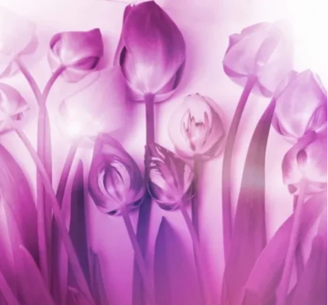 普通50多岁的家庭,该怎样节约?