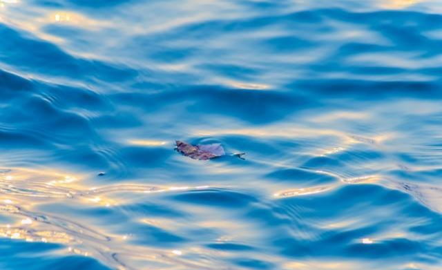 求职|我的三类研究生