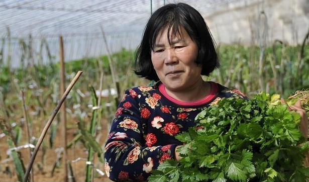 安神|医生提醒:停止食用1“粗粮”,以免甲状腺烂如渣,不妨提前了解