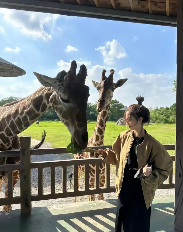 王思聪|王思聪带女子游玩，跪地为她们拍照显卑微，女子颜值不高引热议