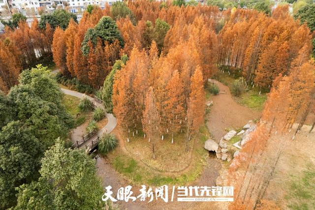 张家界大峡谷|贵阳花溪：十里河滩冬日景色宜人