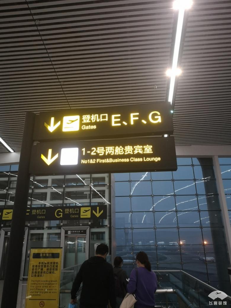 航站楼|不敢相信这是经济舱！第一排座椅简直王炸，间距比公务舱还要宽敞