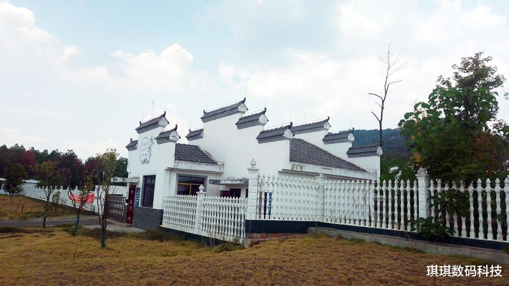 乐视|乐视Y2 Pro：国产芯+国产HMS，或许是国产至强百元机