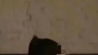 许雅钧|S家族又来新瓜了，大小王炸全出了