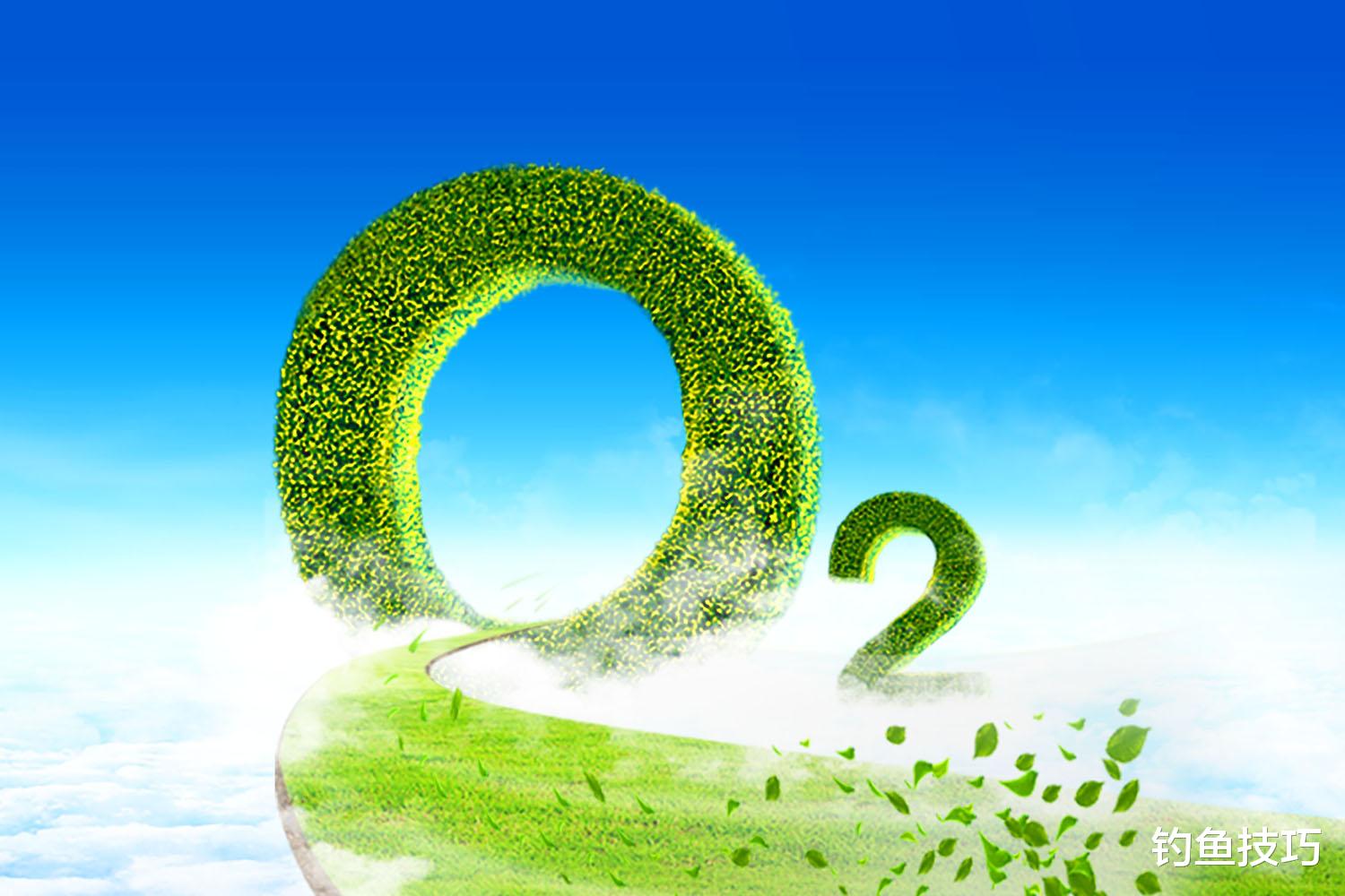 |钓鱼时的鱼口好坏,受什么影响?影响鱼口好坏的6个因素