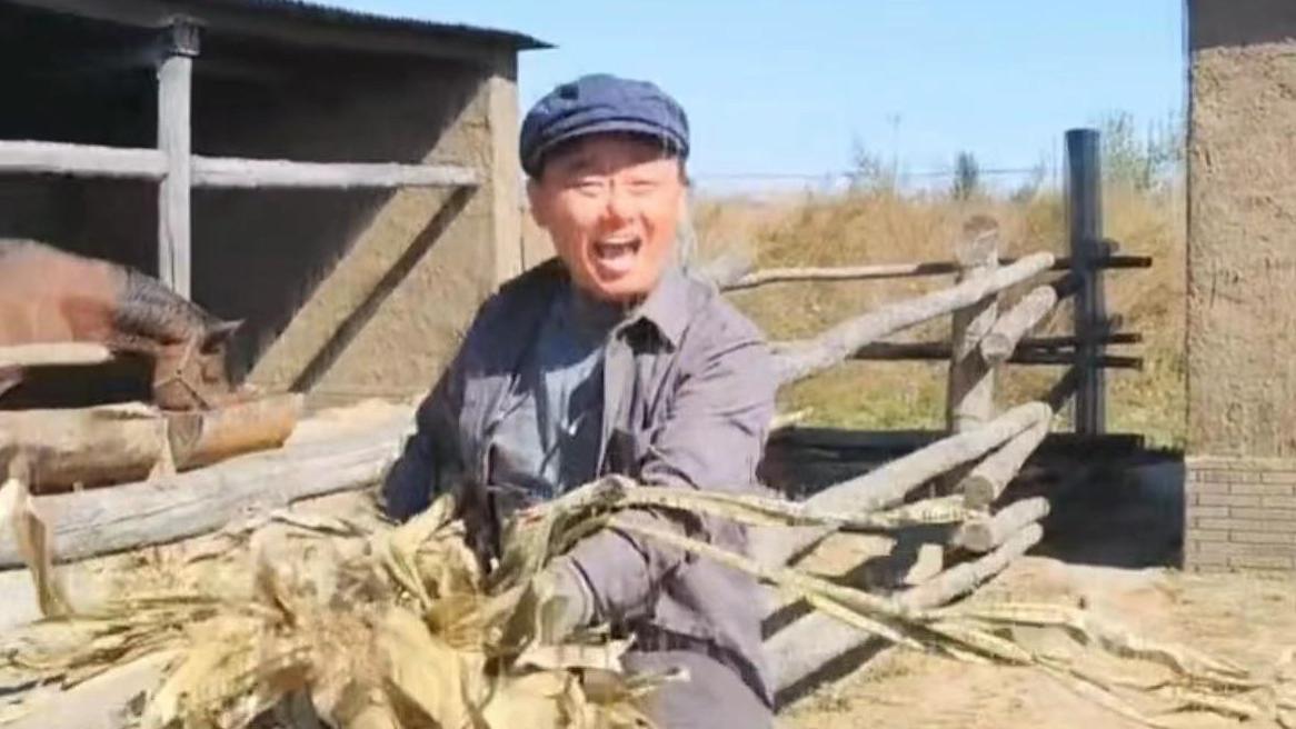 邵峰|52岁演员邵峰河北农村生活，泥土地喂牲口没架子，走路踉跄好朴素