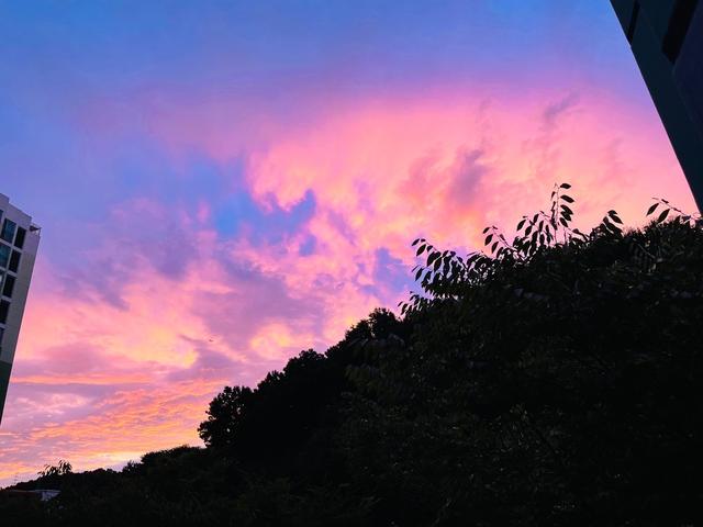 一进门就被这家的落地窗迷住，好看到移不开眼，新家一定跟着学！