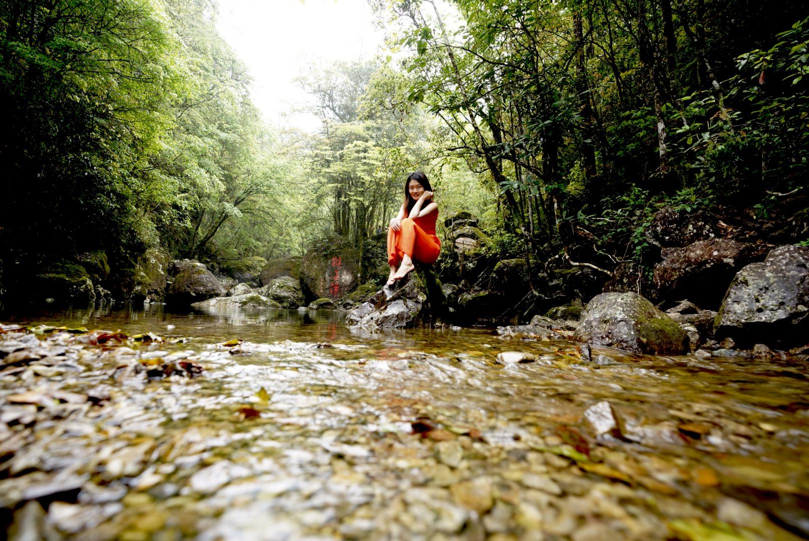 |秋天登山行,温州之巅白云尖,海拔1611米,天然氧吧泰顺欢迎你