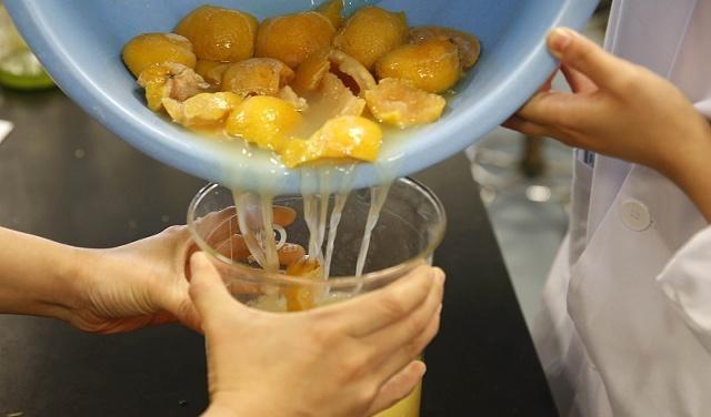 柚子|这种水果浑身都是宝，降糖、降脂、防血栓、止头痛……不吃亏大了