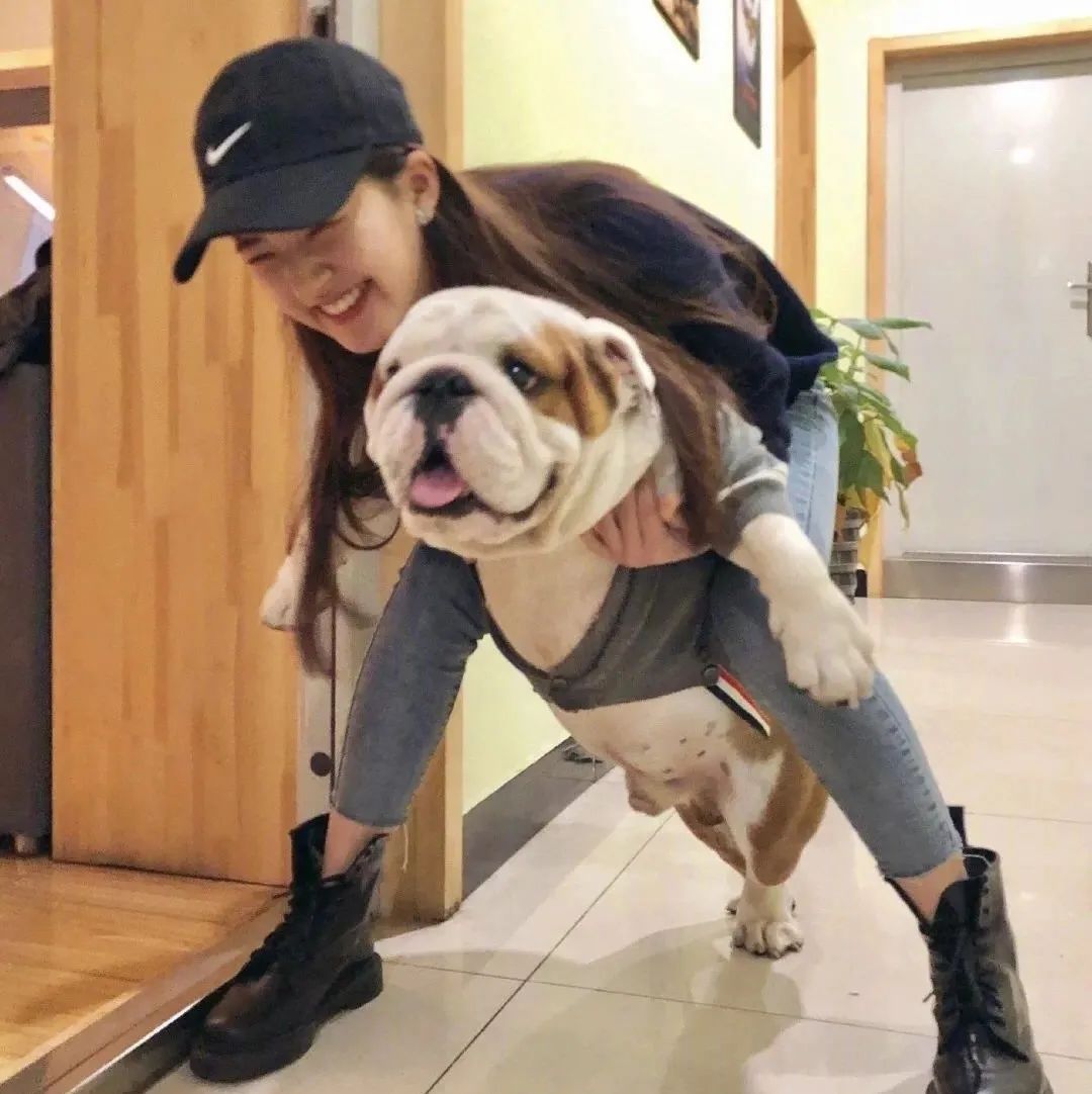 爱豆丨赵露思头像表情包