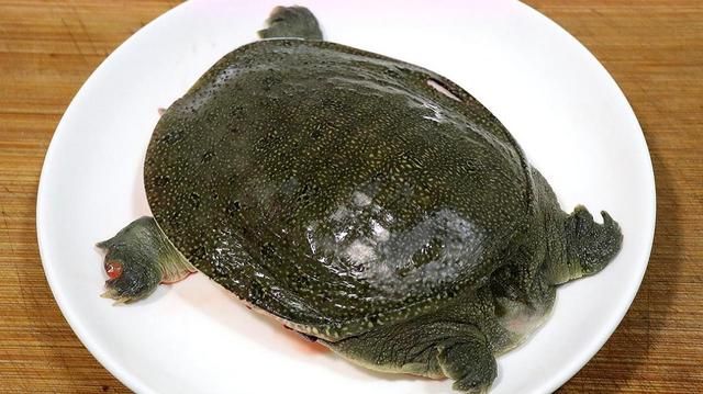 末伏天，是男人进补黄金期，分享3道“扶阳菜”，腰板硬朗更有劲