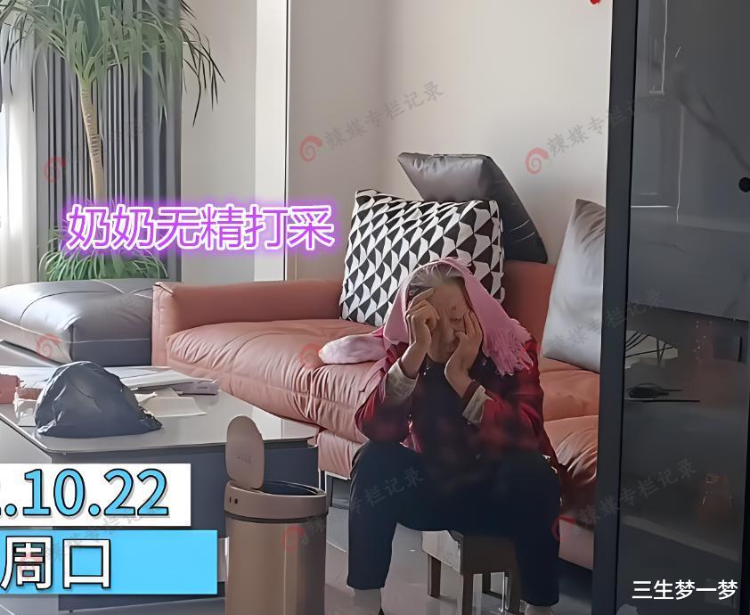 女子接奶奶到城里享福,进城后无精打采回村判若两人,骑三轮串门