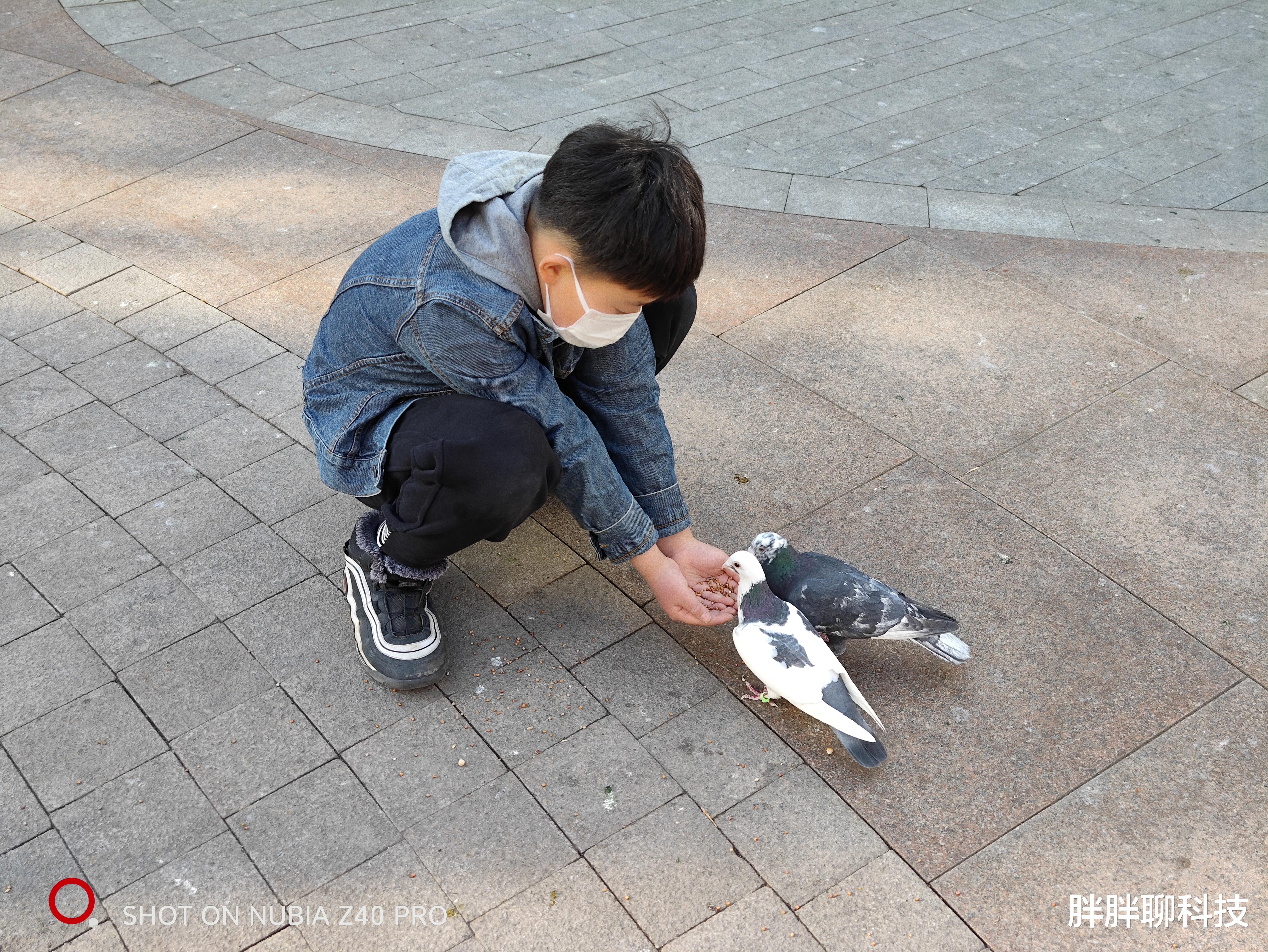 努比亚|努比亚Z40 Pro评测:联合索尼定制镜头下的人文摄影,更有单反味儿