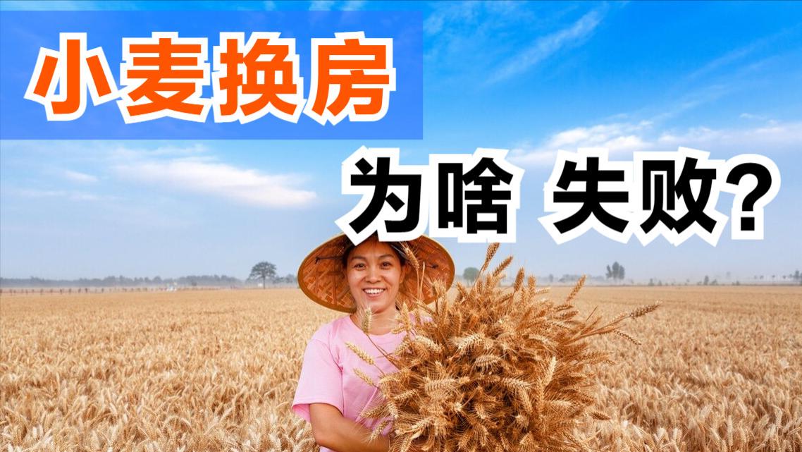 武汉|“小麦换房”最低抵16万，为何无人参与买房？6个担忧过于现实
