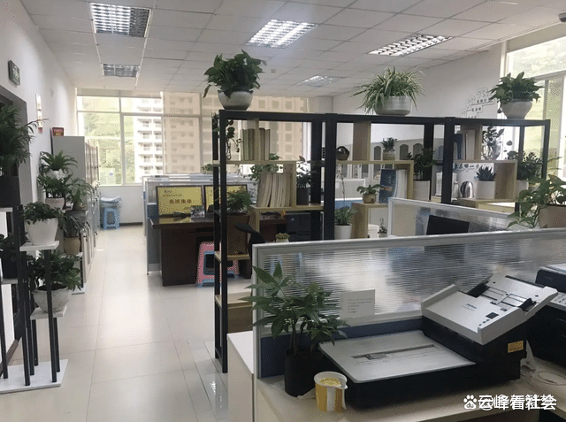 伦理|女子财务作假被经理发现,经理提特殊要求,最后险些酿成伦理悲剧