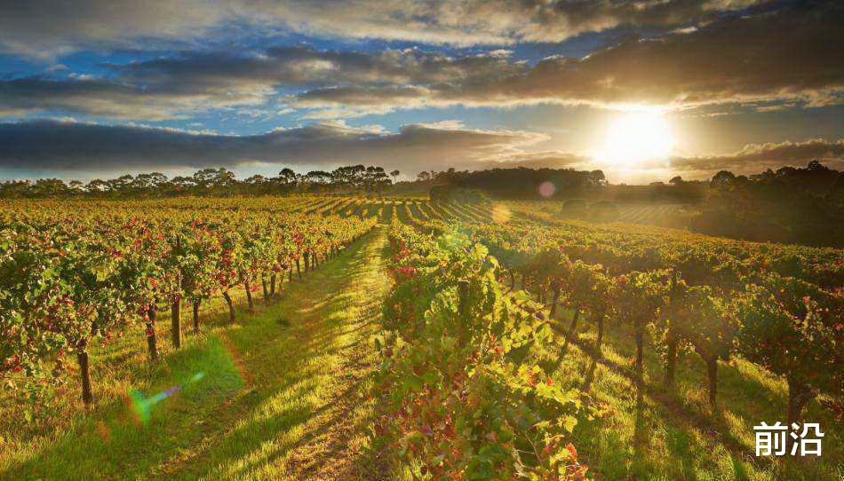 |法国西南部卡欧、杜哈斯丘和马蒙地丘酒区的葡萄酒简介