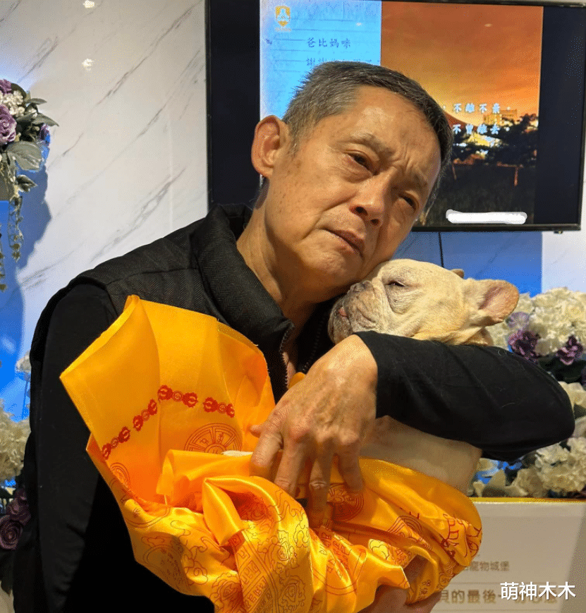 娱乐圈|67岁男星给病逝爱犬举办告别仪式，自曝花了一千多元，就差磕头了