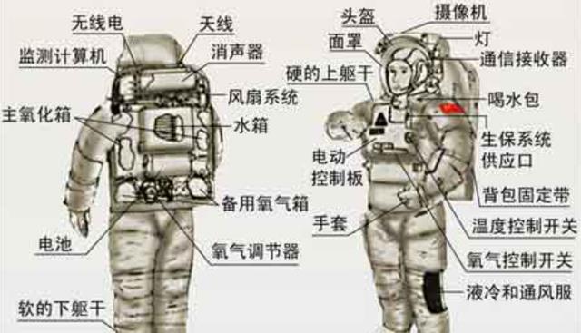 女航天员回地球后禁止生育?太空环境对人的影响,真有这么大吗?