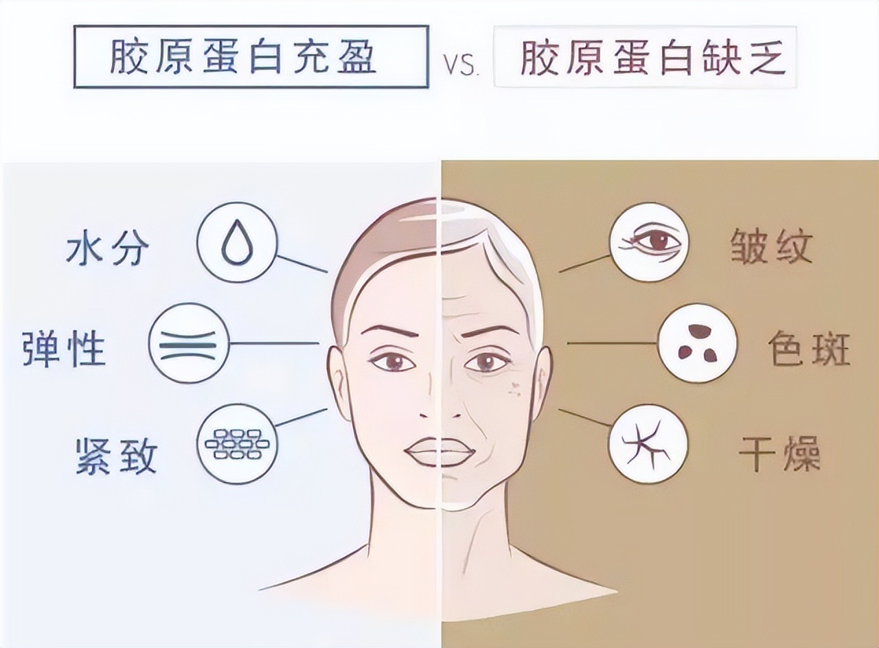 人类或可年轻三十岁,剑桥大学新发现,可刺激细胞恢复至婴儿时期
