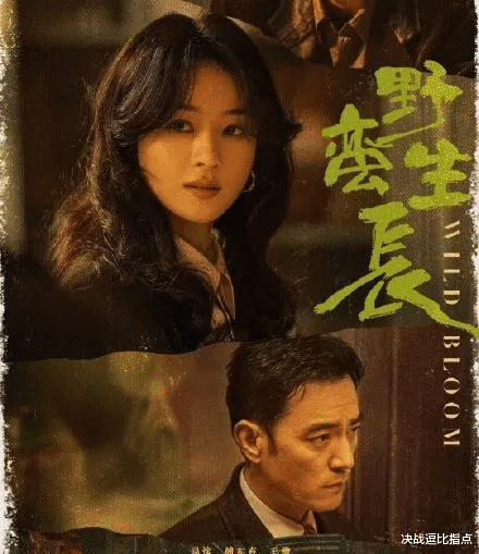 赵丽颖|顶流明星赵丽颖，太给力了！