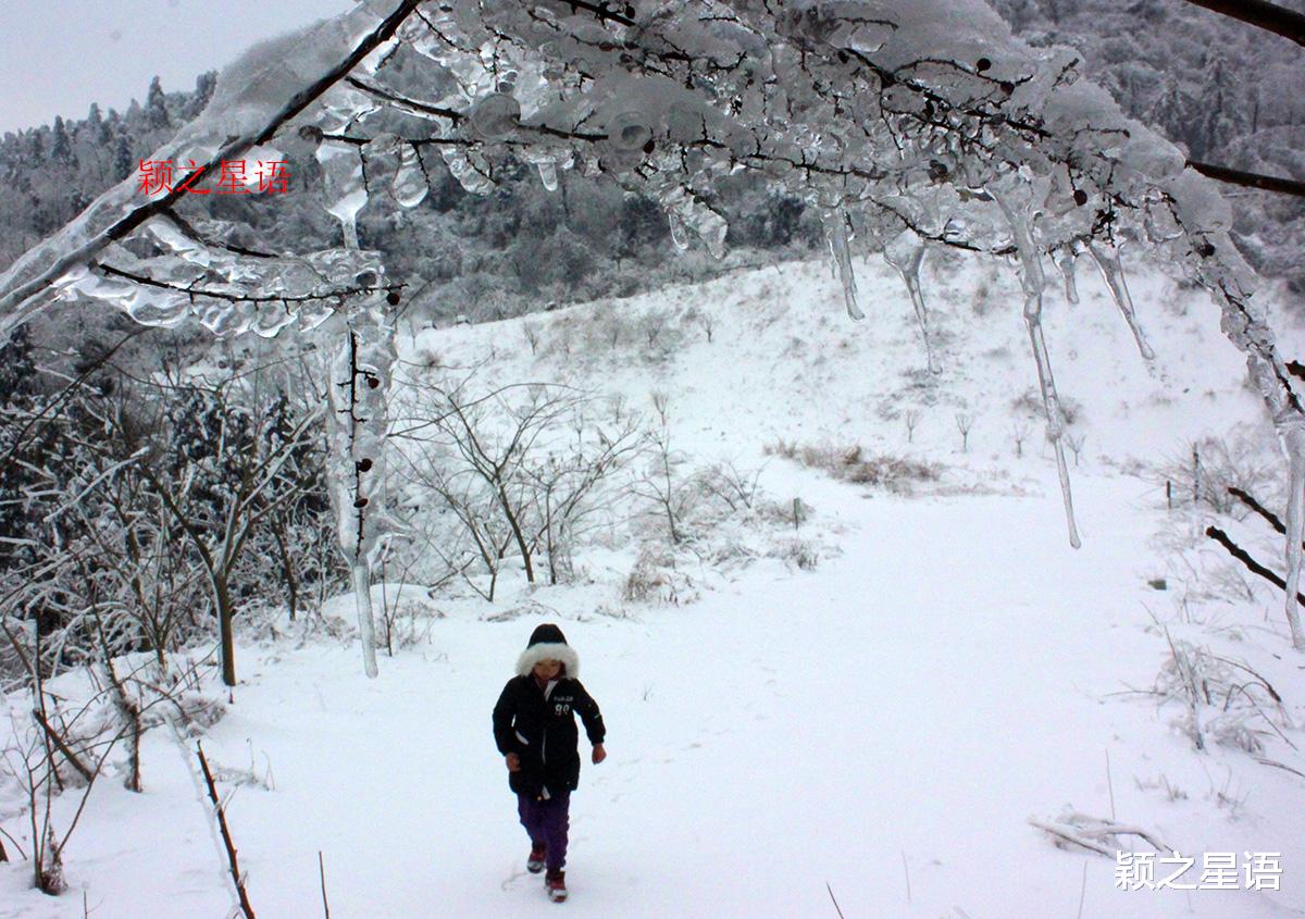 宁波|八处赏雪胜地，林海雪原，分外妖娆