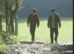 |搬进刚租来的新房,打扫卫生不小心发现的,我该不该告诉房东呢