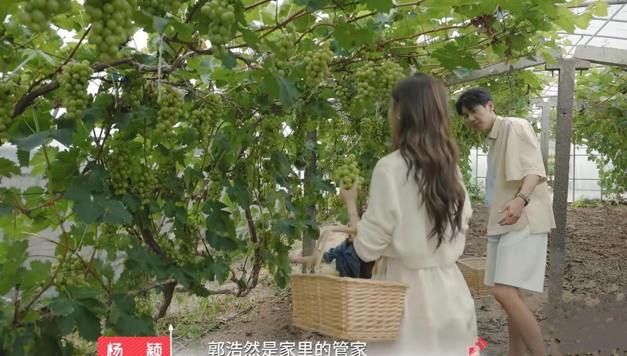 心动的信号|心动的信号：同样是三人行，喆阳李聂相处自然，浩然眼神紧盯佳悦