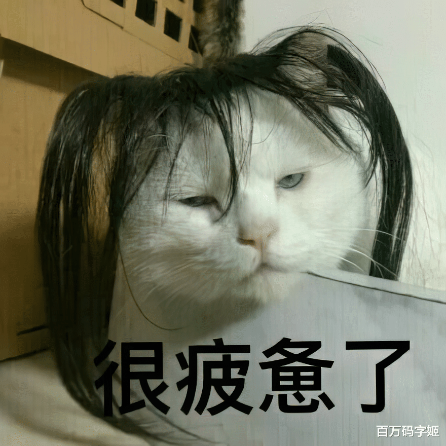 网吧|要不要听我的经历:32岁已婚未育,裸辞找工作,比登天还难