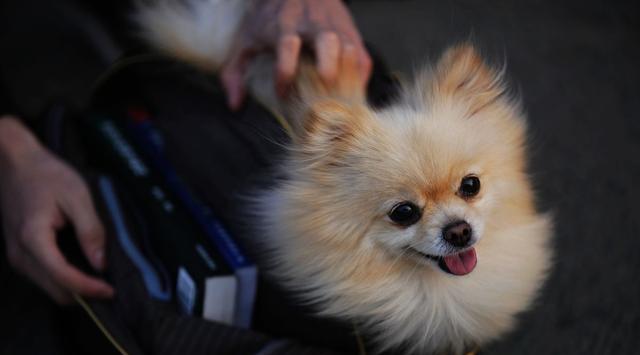 索爱|网购虽便宜，这6样千万别在网上买，否则吃亏的是自己