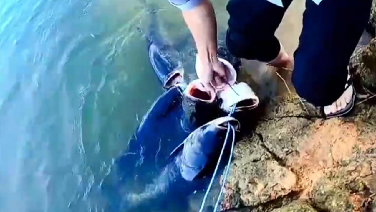 蚊子|男子野钓轻松收获6条胖头鱼，制止朋友拍照发朋友圈，网友：自私