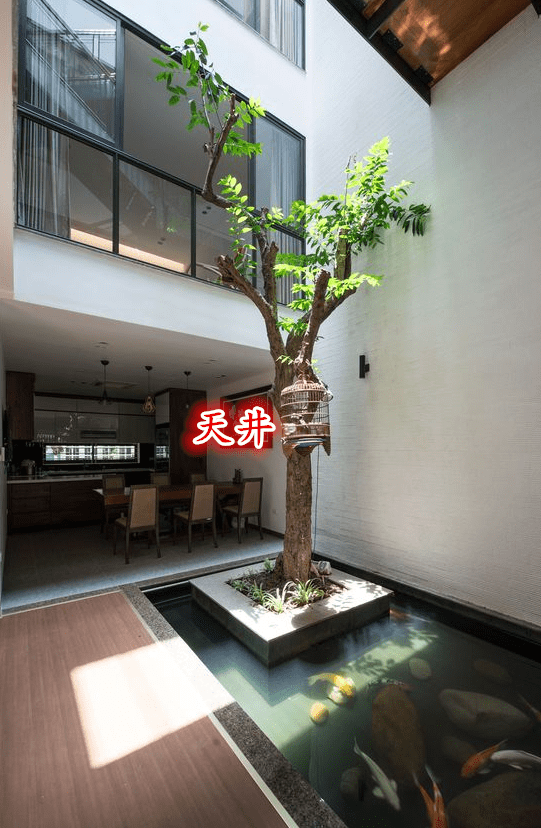 自建房和别墅都挺好,中间挖个天井,腾出50cm就能添加几个阳台!