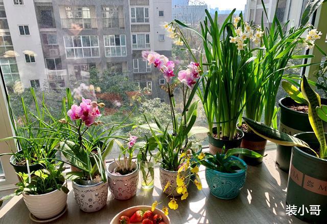 中国人常用的卧室布置方法，其实存在很大的错误，大家定要注意！