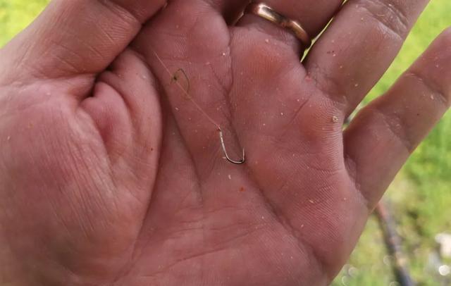 |钓鱼最不能贪便宜的几件装备！关键时刻掉链子，你会拍肿大腿