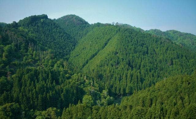 人类消失1万年后,地球究竟会变成什么样子?