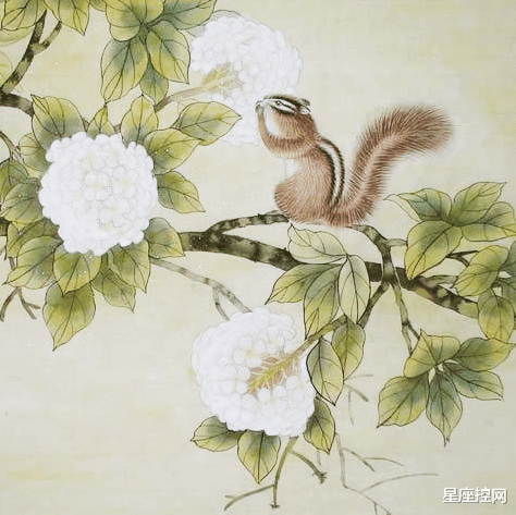 西装|啥生肖的人,头脑灵活,虎年有着一顶一的好运,创业打工都有前途