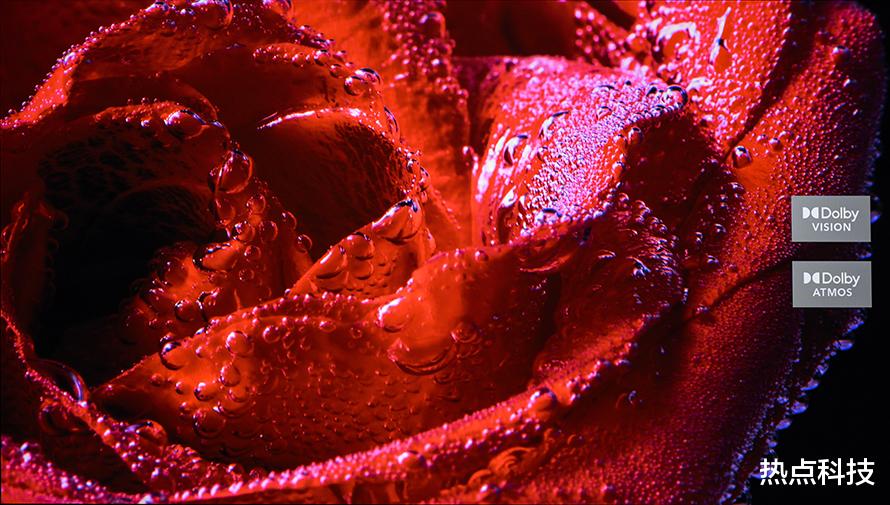 shopee|创维Q31 Pro电视评测：不仅仅是你的家庭娱乐中心