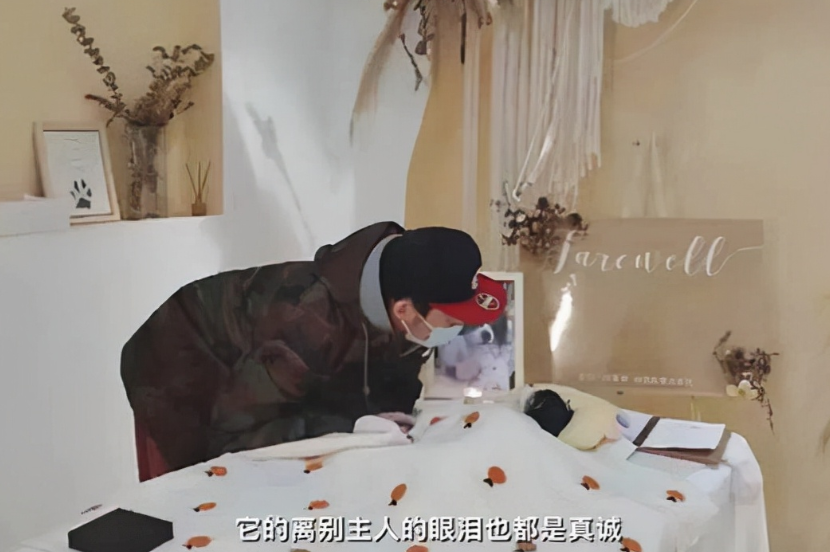 大学生|疫情之下“新职业”悄然兴起，收入可观又自由，你还羡慕公务员吗