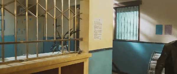 孔孝珍|一上映就拿下榜单第一,没想到,54岁邹兆龙又打出了一副“王炸”