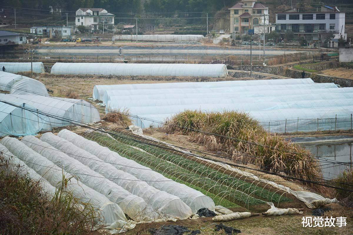 老伴和儿子常年不在家,64岁大爷独居楼房,看他怎样1年赚10万