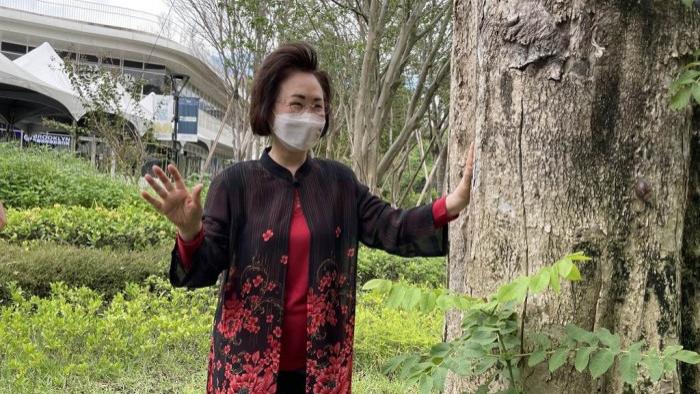 |84岁琼瑶罕见露面，容颜不老气质佳，如今变成这样了