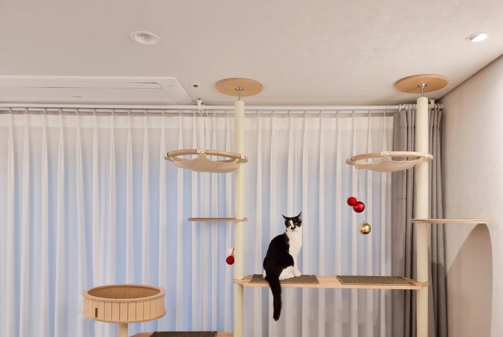 108㎡改造前后对比,单是客厅就被拆成4大功能!玄关让人眼前一亮