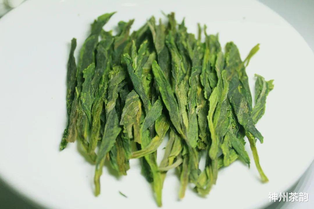 林更新|茶能代表人格，你喜欢什么茶？