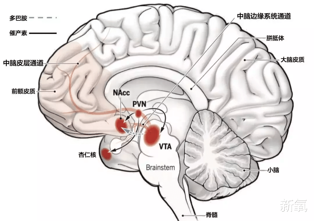 多巴胺|一吻翻红！朴敏英的《月水金火木土》甜疯了，一场吻戏直接鲨到