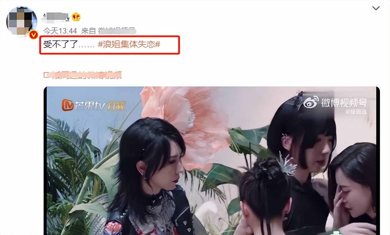 浪姐3|《浪姐3》的关系网:有人姐妹情深,有人却是塑料情