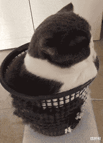 空军|“钓鱼的时候飞到我手上的，第一次见，有知道这是什么的吗？”