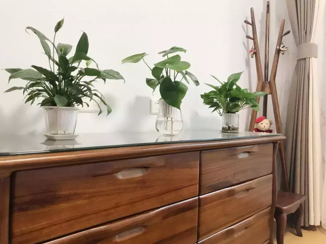 入住之前,忍不住晒晒我的新家,60平大三房,空间一点都不浪费!