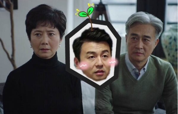 心居|《心居》老戏骨颜值逆天：84岁的优雅婆婆，比海清还美？