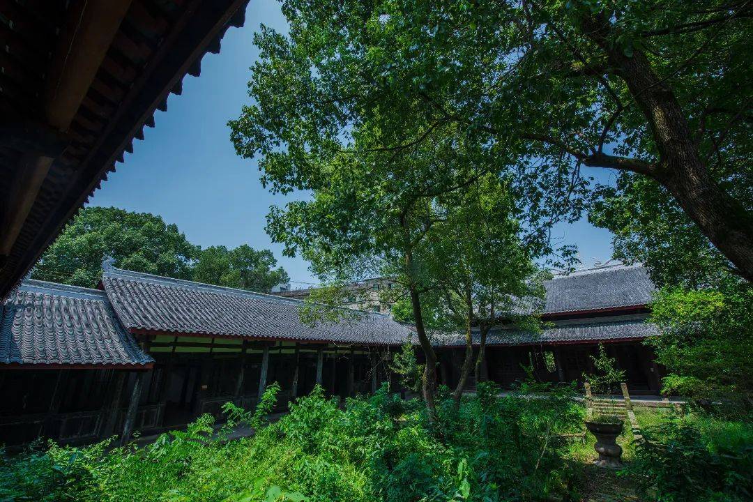 华蓥山|争创天府旅游名县｜看！大美华蓥