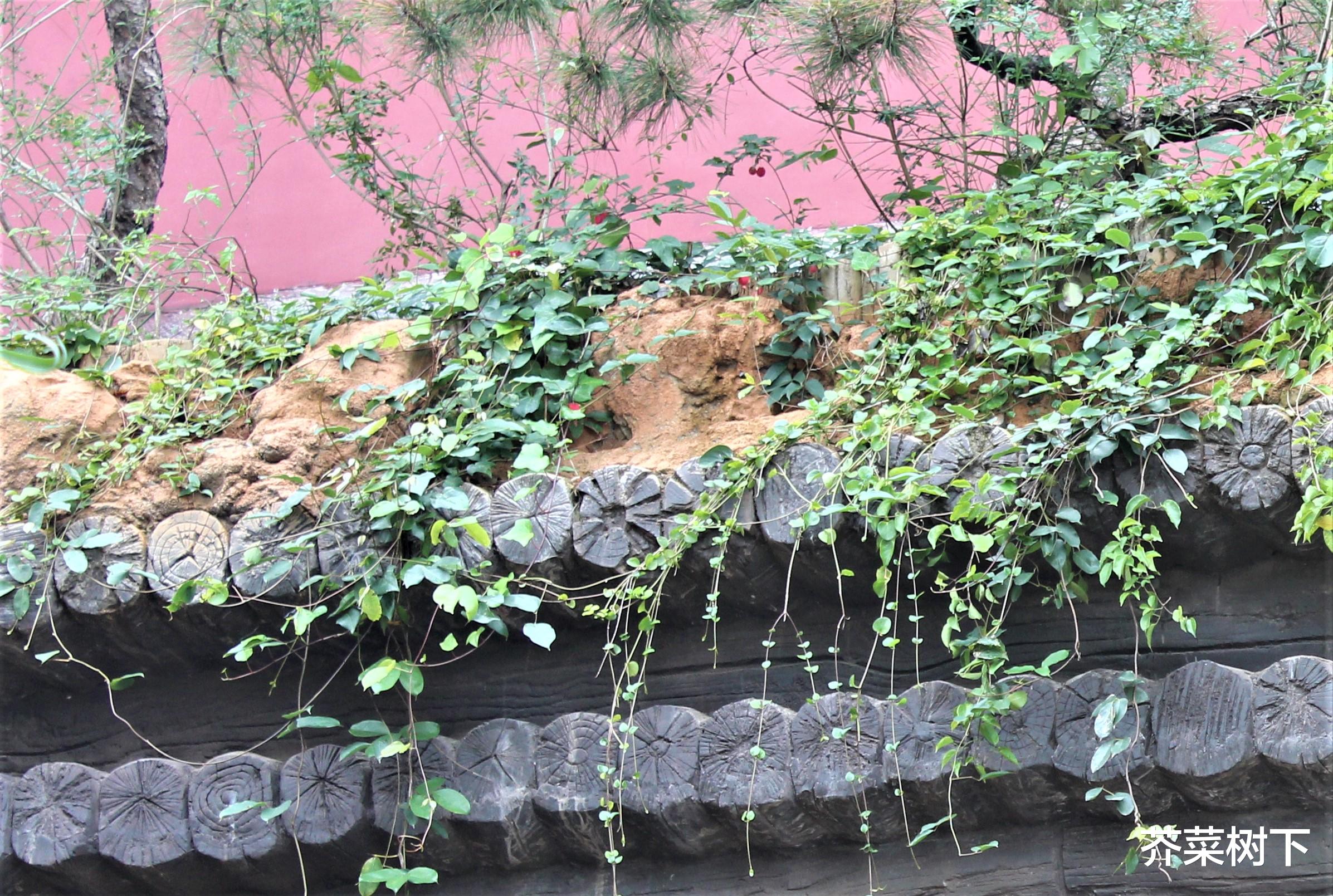 世界杯|行走职场:找准定位,才能走位