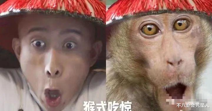 电视剧|烂出圈的10部电视剧,你或许没有看过,但一定听说过